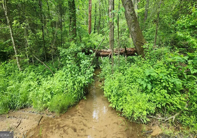 Photo 2 of Sale Pending at 13 Ac Goose Island Rd, Ellijay, GA 30540 | MLS# 10761378 | Listing updated on 2026-09-14