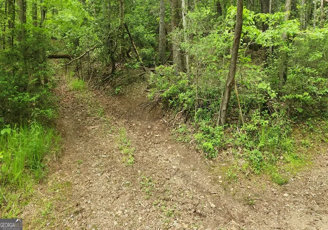 Photo 3 of Sale Pending at 13 Ac Goose Island Rd, Ellijay, GA 30540 | MLS# 10761378 | Listing updated on 2026-09-14