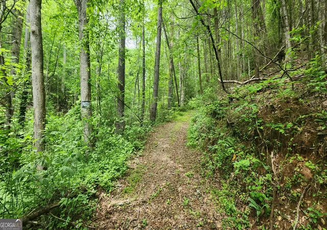 Photo 3 of Sale Pending at 13 Ac Goose Island Rd, Ellijay, GA 30540 | MLS# 10761378 | Listing updated on 2026-09-14