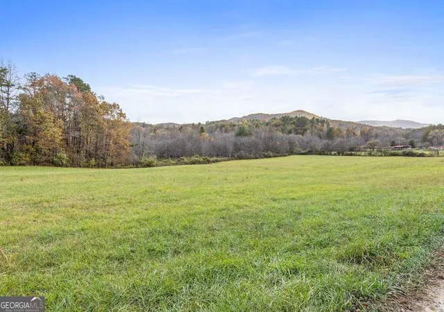 21st image of 1436 Ac Night Ln, Epworth, GA 30541 | MLS# 10783304