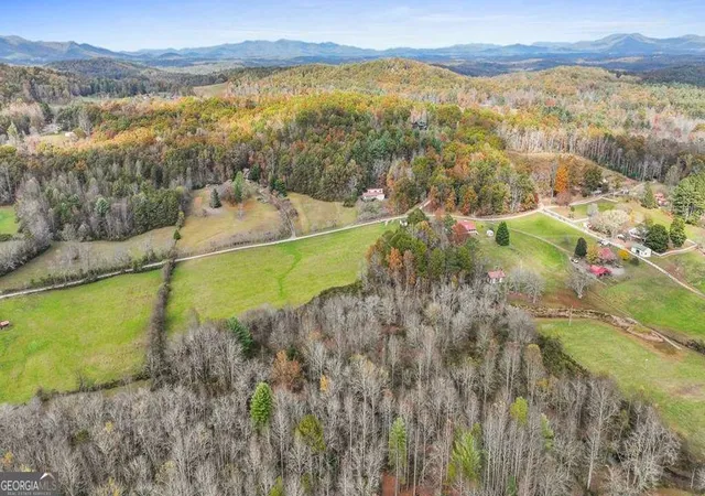 4th image of 1436 Ac Night Ln, Epworth, GA 30541 | MLS# 10783304