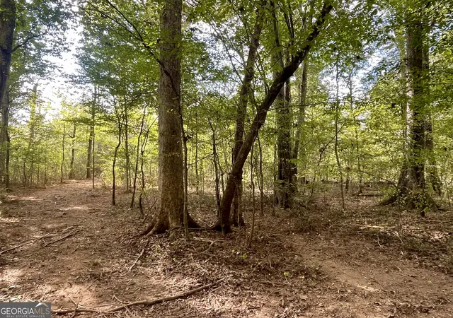 1st image of 0 Buffalo Creek Road, Carrollton, GA 30117 | MLS# 10624169