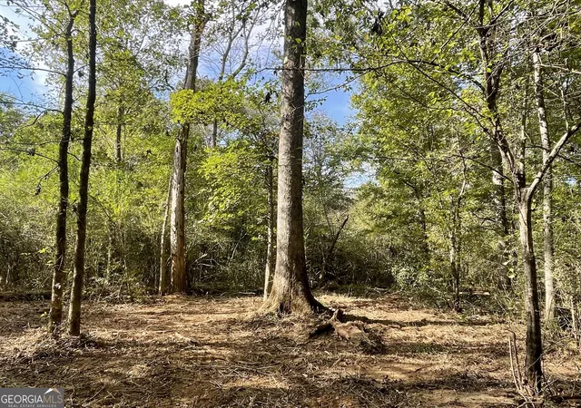 2nd image of 0 Buffalo Creek Road, Carrollton, GA 30117 | MLS# 10624169