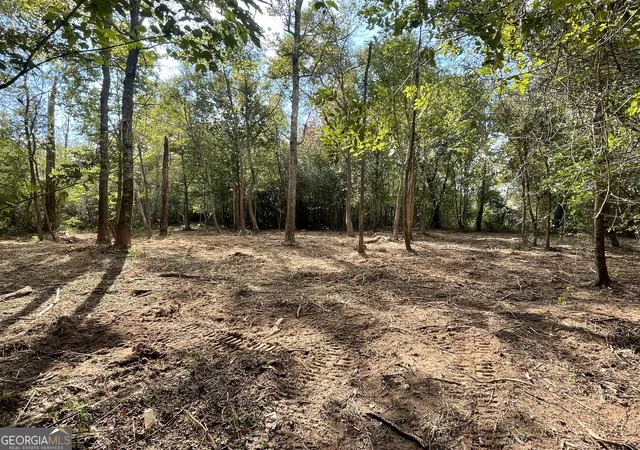 3rd image of 0 Buffalo Creek Road, Carrollton, GA 30117 | MLS# 10624169