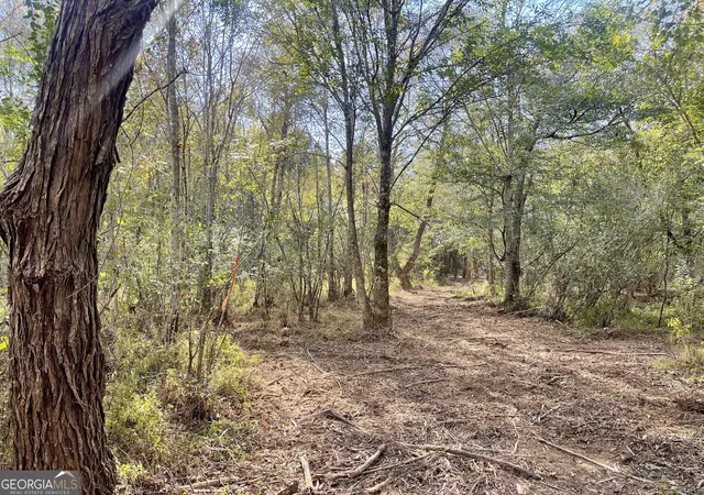 4th image of 0 Buffalo Creek Road, Carrollton, GA 30117 | MLS# 10624169