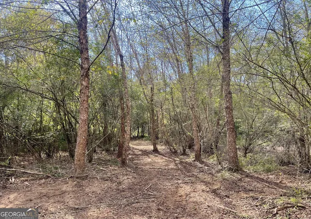 5th image of 0 Buffalo Creek Road, Carrollton, GA 30117 | MLS# 10624169