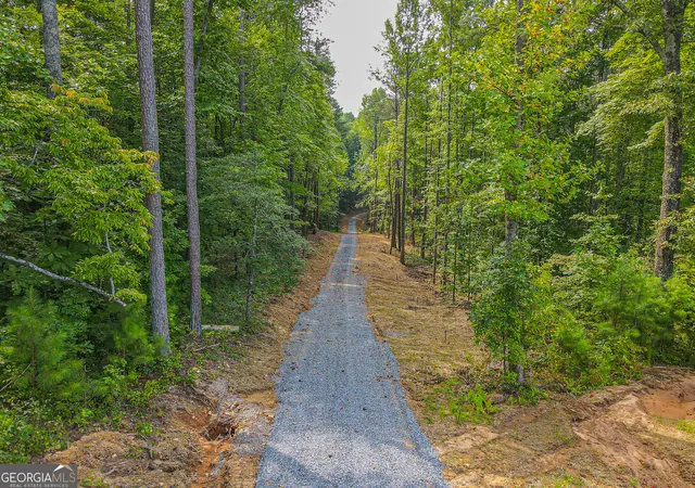 Photo 4 of Land for sale at 0 Orchard Ln, Talking Rock, GA 30175 | MLS# 10695360 | Listing updated on 2026-09-24