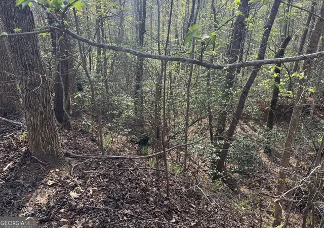 Photo 4 of Land for sale at Lot 73 Dach Bruecke Gasse, Helen, GA 30545 | MLS# 10741612 | Listing updated on 2026-05-11