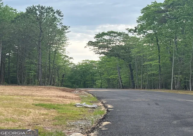 Photo 2 of Land for sale at 6 Crawford Pl, Dawsonville, GA 30534 | MLS# 10464389 | Listing updated on 2026-10-30