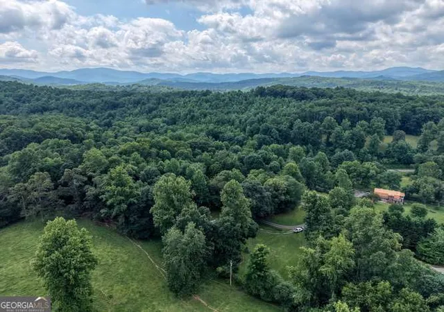 46th image of 107 Warners Wy, Blairsville, GA 30512 | MLS# 10804625