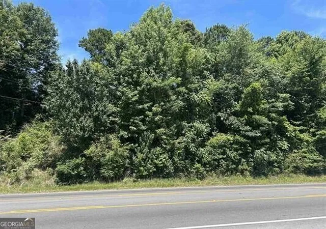 Homes for sale in Roanoke, AL | 0 Hwy 431, Roanoke, AL 36274 | MLS# 10801980