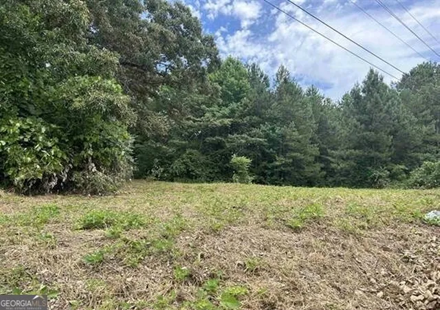 Homes for sale in Roanoke, AL | 0 Hwy 431, Roanoke, AL 36274 | MLS# 10801980