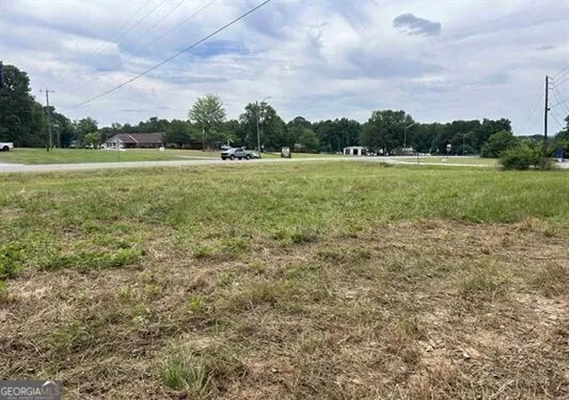 Homes for sale in Roanoke, AL | 0 Hwy 431, Roanoke, AL 36274 | MLS# 10801980