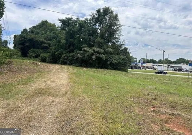 Homes for sale in Roanoke, AL | 0 Hwy 431, Roanoke, AL 36274 | MLS# 10801980