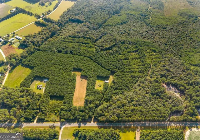 Photo 2 of Land for sale at 0 Highway 67, Pembroke, GA 31321 | MLS# 10836786 | Listing updated on 2026-09-14
