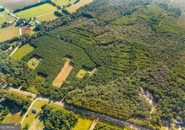 Photo 4 of Land for sale at 0 Highway 67, Pembroke, GA 31321 | MLS# 10836786 | Listing updated on 2026-09-14