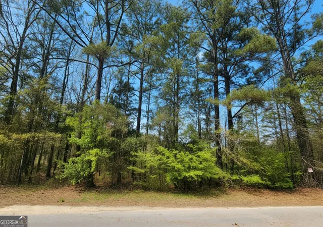 Land for sale at 0 Cherry Rd, Franklin, GA 30217 | MLS# 10877713