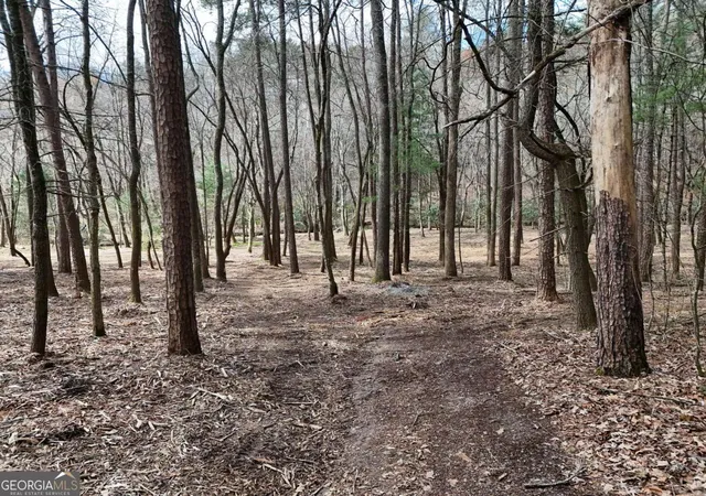 Photo 3 of Land for sale at Lot 45b Synacia Dr, Mineral Bluff, GA 30559 | MLS# 10713505 | Listing updated on 2026-09-14