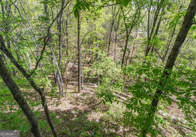 Homes for sale in Dahlonega, GA | 505 River Flow Dr, Dahlonega, GA 30533 | MLS# 10734885