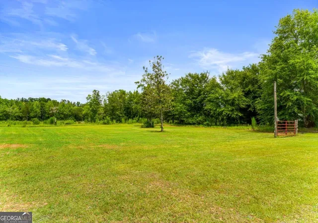 71st image of 762 Old Mcleod Brg Rd, Adrian, GA 31002 | MLS# 10808756
