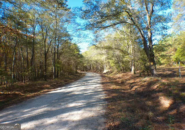 Land for sale at 0 Dusty Rd, Bowman, GA 30624 | MLS# 10569563