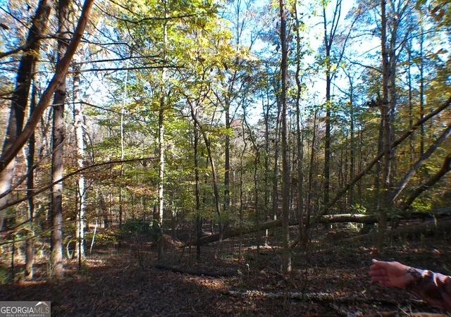 Photo 3 of Land for sale at 0 Dusty Rd, Bowman, GA 30624 | MLS# 10569563 | Listing updated on 2026-07-30