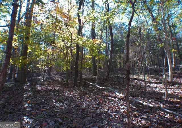 Photo 3 of Land for sale at 0 Dusty Rd, Bowman, GA 30624 | MLS# 10569563 | Listing updated on 2026-07-30