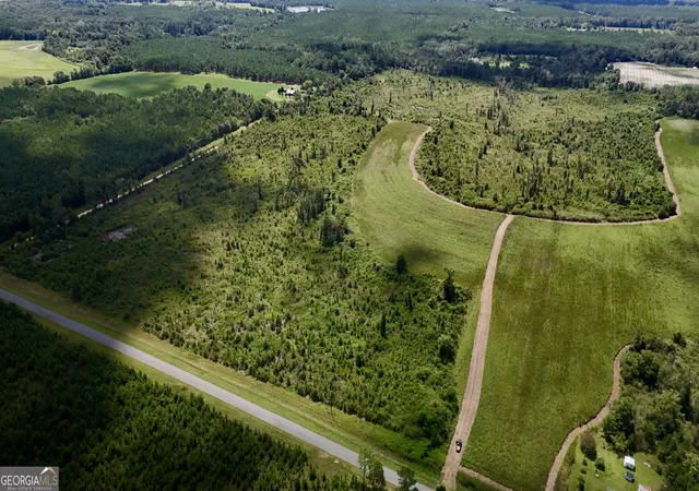 Photo 2 of Land for sale at 6186 Harvey Rd, Abbeville, GA 31001 | MLS# 10824733 | Listing updated on 2026-08-26