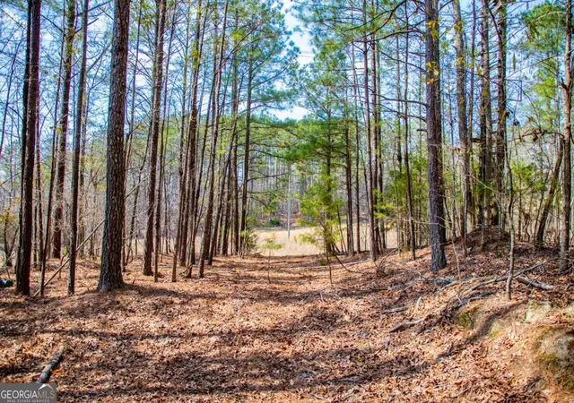Photo 1 of Land for sale at 3940 Clinton Ct, Villa Rica, GA 30180 | MLS# 10822771 | Listing updated on 2026-08-24