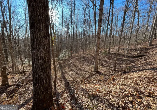 Photo 1 of Land for sale at Lot #2 Forest Canopy Wy, Clayton, GA 30525 | MLS# 10834522 | Listing updated on 2026-09-10