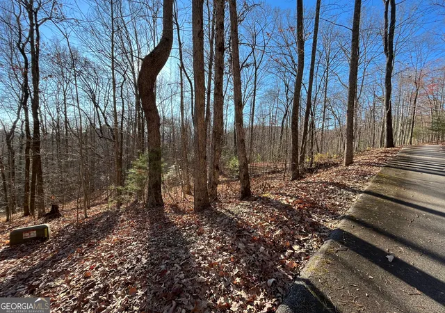 Photo 3 of Land for sale at Lot #2 Forest Canopy Wy, Clayton, GA 30525 | MLS# 10834522 | Listing updated on 2026-09-10