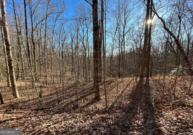 Photo 4 of Land for sale at Lot #2 Forest Canopy Wy, Clayton, GA 30525 | MLS# 10834522 | Listing updated on 2026-09-10