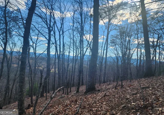 Photo 1 of Land for sale at 0 Trackrock Gap Rd, Blairsville, GA 30512 | MLS# 10775367 | Listing updated on 2026-09-24