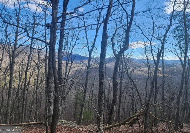Photo 3 of Land for sale at 0 Trackrock Gap Rd, Blairsville, GA 30512 | MLS# 10775367 | Listing updated on 2026-09-24
