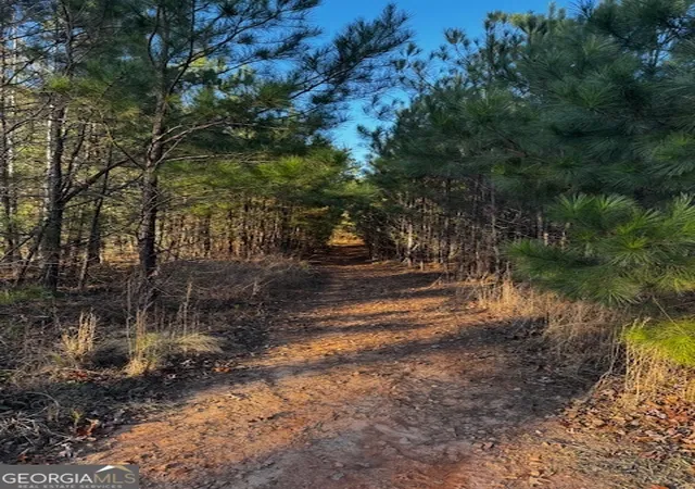 Photo 2 of Land for sale at 2859 Acres In Henry County, Jackson, GA 30233 | MLS# 10440624 | Listing updated on 2025-08-27