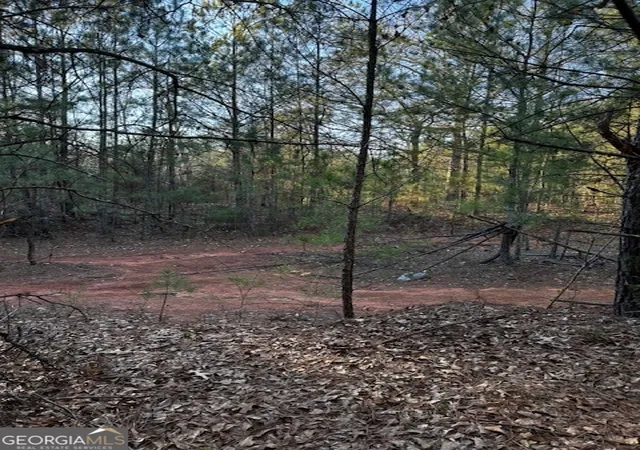 Photo 3 of Land for sale at 2859 Acres In Henry County, Jackson, GA 30233 | MLS# 10440624 | Listing updated on 2025-08-27