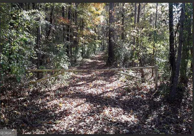 Homes for sale in Juliette, GA | 1047 Ponder Trammell Rd, Juliette, GA 31046 | MLS# 10722754