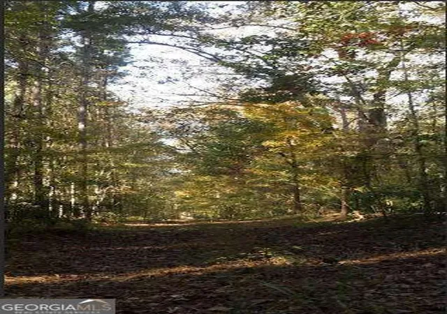 Photo 3 of Land for sale at 1047 Ponder Trammell Rd, Juliette, GA 31046 | MLS# 10722754 | Listing updated on 2026-04-15