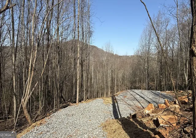 2nd image of Lot 17 Chalet, Sautee Nacoochee, GA 30571 | MLS# 10821008