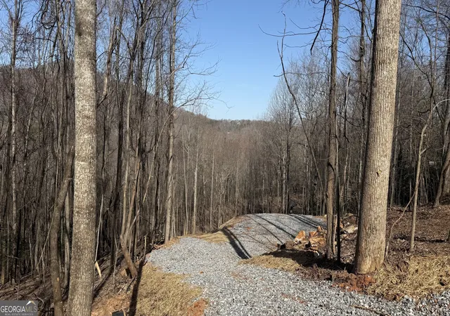 3rd image of Lot 17 Chalet, Sautee Nacoochee, GA 30571 | MLS# 10821008