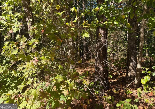 Photo 1 of Land for sale at 0 Dorsett Shls Rd, Douglasville, GA 30135 | MLS# 10879119 | Listing updated on 2026-10-30