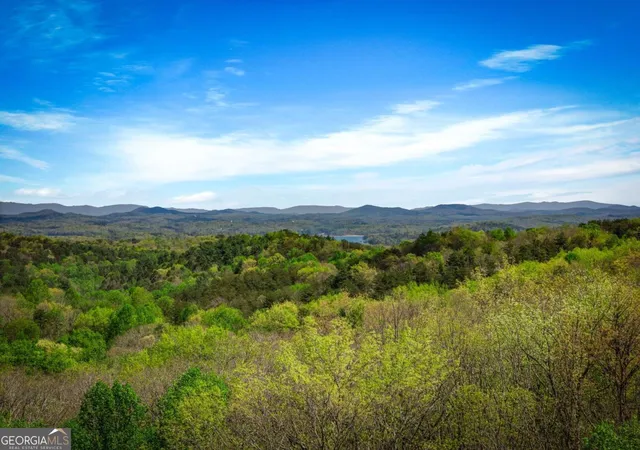 Photo 2 of Single family home for sale at 245 Davenport Mountain Rd #3, Blue Ridge, GA 30513 | MLS# 10740550 | Listing updated on 2026-06-29