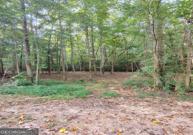 Land for sale at 261 Brad St, Royston, GA 30662 | MLS# 10831898
