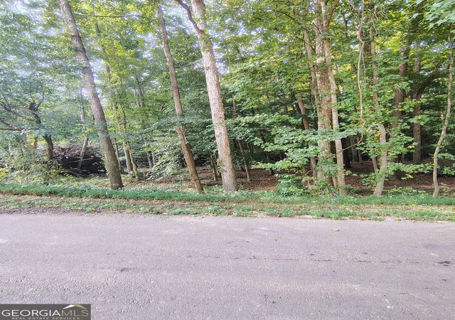 Photo 3 of Land for sale at 261 Brad St, Royston, GA 30662 | MLS# 10831898 | Listing updated on 2026-09-23