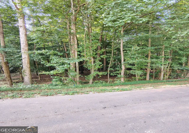 Photo 4 of Land for sale at 261 Brad St, Royston, GA 30662 | MLS# 10831898 | Listing updated on 2026-09-23