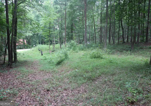 Land for sale at 304 Mountain View Rd, Lavonia, GA 30553 | MLS# 10834164
