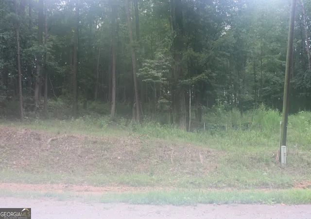 Photo 2 of Land for sale at 304 Mountain View Rd, Lavonia, GA 30553 | MLS# 10834164 | Listing updated on 2026-09-10