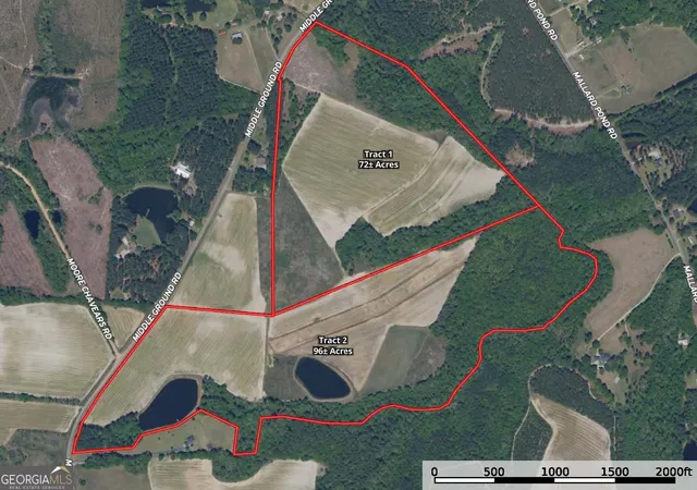 2nd image of 0 Middleground Rd #TRACT 2, Statesboro, GA 30461 | MLS# 10724632