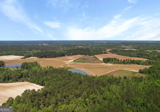 3rd image of 0 Middleground Rd #TRACT 2, Statesboro, GA 30461 | MLS# 10724632