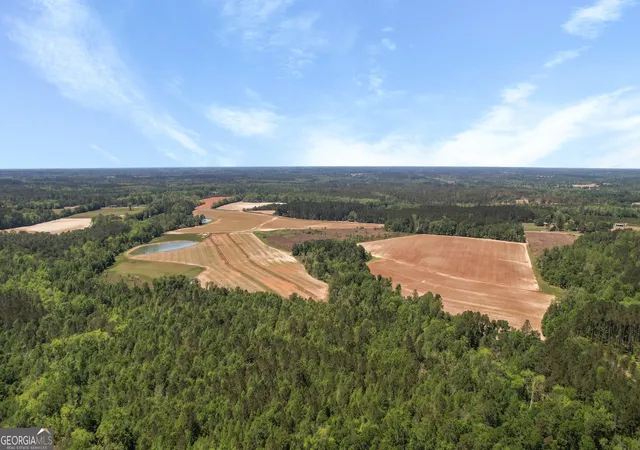 4th image of 0 Middleground Rd #TRACT 2, Statesboro, GA 30461 | MLS# 10724632